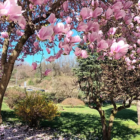 La Casetta Di Gianni * Borgo Ticino