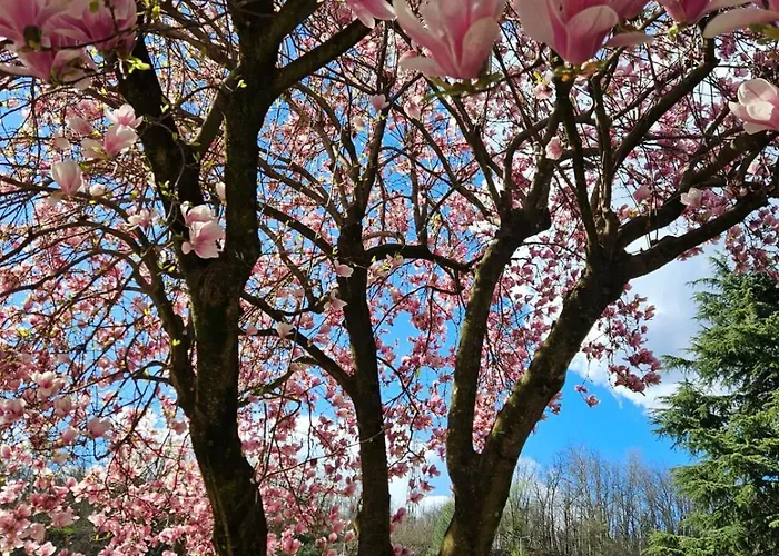 Appartamento La Casetta Di Gianni *