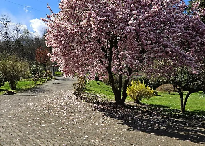 La Casetta Di Gianni *