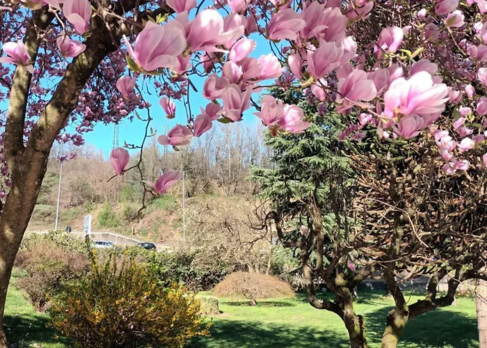 La Casetta Di Gianni * Borgo Ticino